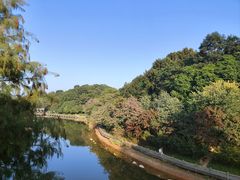 -广州市帽峰山景区