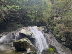-牛背梁国家森林公园