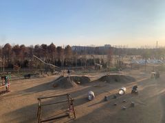 -上海长兴岛郊野公园