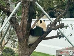 -无锡动物园·太湖欢乐园
