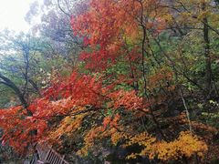 -五女山景区