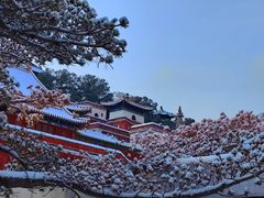 -颐和园