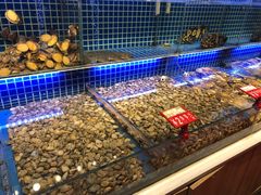-必点海鲜·鲅鱼水饺(鞍山西道店)