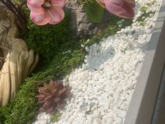 -海底捞火锅(亲贤北街店)