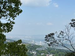 -大金鹰园
