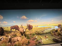 -陕西自然博物馆