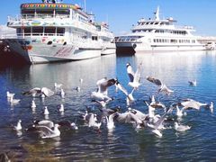-青海湖国家重点风景名胜区