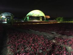 -广州花之恋城堡酒店