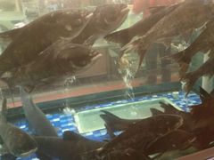 -顺峰(南二环店)