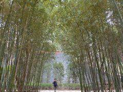 -浮来山风景区