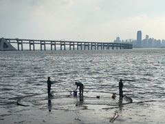 -星海广场