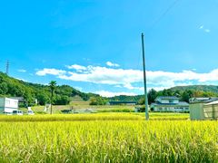 -椒香川流不息川菜馆(二七北路店)