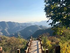 -大岭沟猕猴桃谷风景区