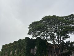 -乌山风景区