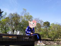 -南京市无想山景区