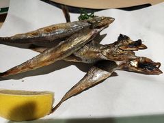 -新一番三文鱼寿司(红城湖店)