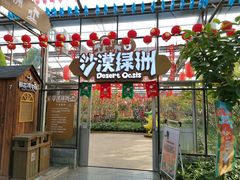 -南宫五洲植物乐园