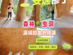 -萧邦音乐会所KTV·蒸汽活海鲜自助(福田店)