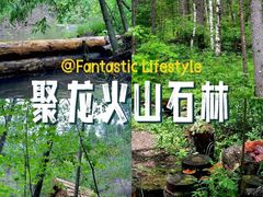 -峡谷浮石林景区