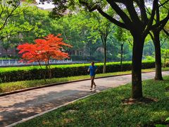 -花溪公园