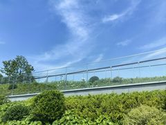-滴水湖
