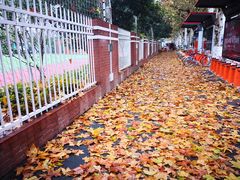 -南京市凤凰花园城小学