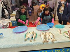 -西归浦每天偶来市场