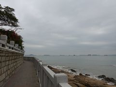 -环岛路木栈道