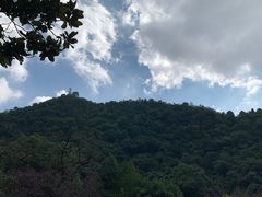 -黔灵山公园