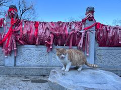 -终南山南五台景区