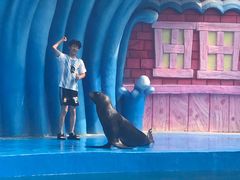 -华夏文旅海洋公园