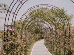 -福建鲤鱼洲酒店