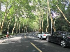 -小马牛肉面·牛骨熬制(南京博物院店)