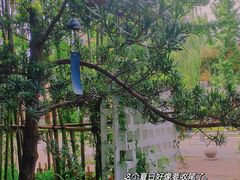 景观位-扫雪煮茶(西村店)