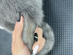 -唐小姐の猫狗洗护·购宠旗舰店(周浦万达店)