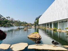 -罗红摄影艺术馆