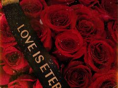 -八喜冰淇淋蛋糕(双井店)