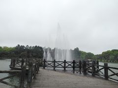-上海鲜花港