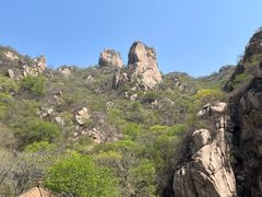 -大岭沟猕猴桃谷风景区