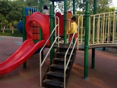 -大兴滨河森林公园