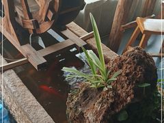 -冯记白土岗辣子鸡