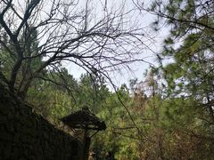 -缥缈峰景区