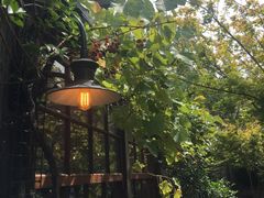 -The Grounds of Alexandria