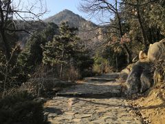 -北京鹫峰国家森林公园