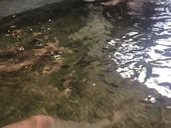 -明谷行馆·温泉