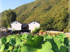 -荷塘味道(水长城店)