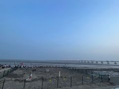 -南汇新城海滩