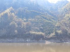-新安江山水画廊风景区
