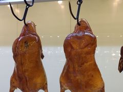 -碧中海汤泉汗蒸酒店