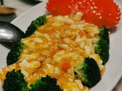 -蝶园·装修中(BFC外滩金融中心店)